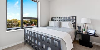 Pure Lowry Gallery 18