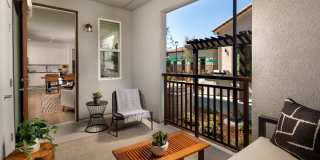 Jefferson Avena Gallery 22