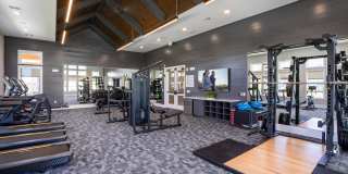 Allora New Forest Gallery 12