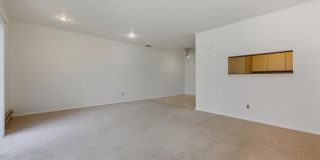 100 Daly Boulevard unit: 2803 Gallery 7