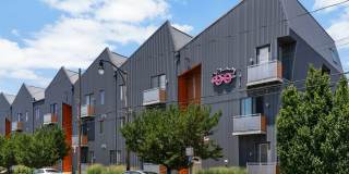 The Benjamin Gallery 7