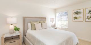 Mosaic Apartment Homes Gallery 17