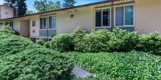 Carrington Gallery 17