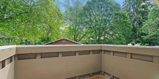 Bellamy Park Gallery 26