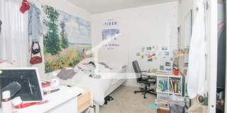 4 bed in BU west Gallery 5