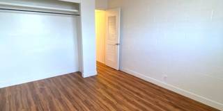 Recently Renovated 1 Bedroom in Honolulu Gallery 9