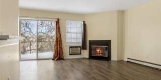 7 Lexington Hill Gallery 1