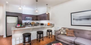 Hollister Village Gallery 8