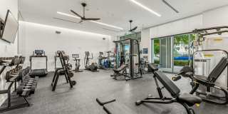 The Henry Gallery 16