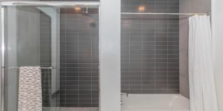 Live Grandscape Gallery 27