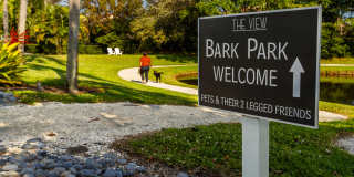 The View at Waters Edge Gallery 37