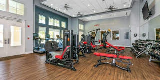 TGM Ibis Walk Gallery 22