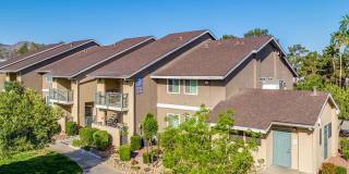 Morrell Park Gallery 25