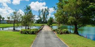 9523 S Hollybrook Lake Drive Gallery 37
