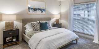 Roswell Village Gallery 6