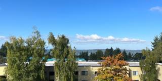 Puget Sound Views & Resort-Style Amenities! Puget Sound Views & Resort-Style Amenities! Gallery 1