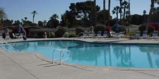 49544 Wayne Street Gallery 65