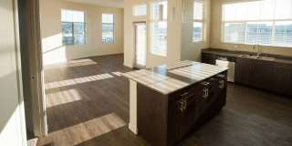 Elan Redmond Gallery 14