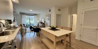 Caroline at Golden Glades Gallery 6