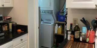 McLean Gardens, Washington, DC Gallery 7