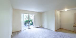 Palermo at Lakeland Gallery 22