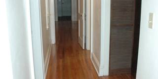 Perfect 4 Bedroom, 2 Bathroom House -- Walk to UF! Gallery 8