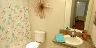 Towne Square Apartments Gallery 7