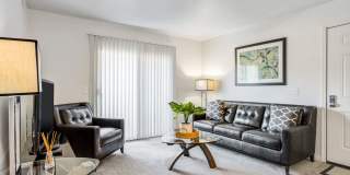 Shoal Creek Gallery 6