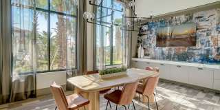 Ilumina Zephyrhills Gallery 21