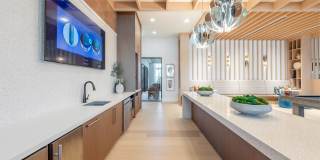 Alta Citron Gallery 4