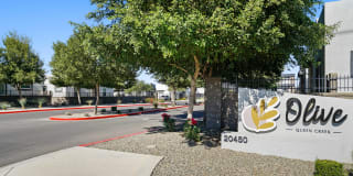 Olive Queen Creek Gallery 33