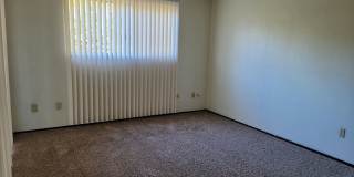 No Deposit Gallery 20