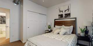 Melbourne Gallery 11