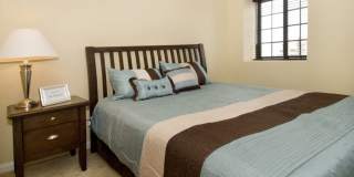 The Ambassador at Library Square Gallery 16