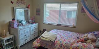 108 Owl Path Gallery 8