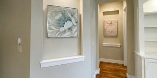 307 East Grove Creek Lane Gallery 33