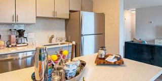 Shirlington House Gallery 3