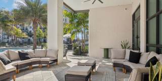 The Pomelo Gallery 12