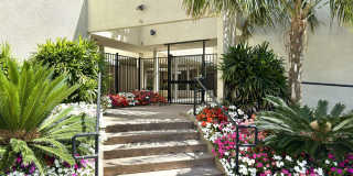 Panoramic Ocean and Lagoon Views Gallery 3