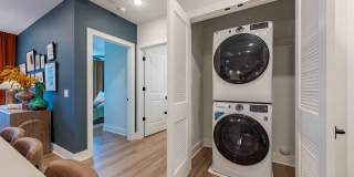 The Point Gallery 13