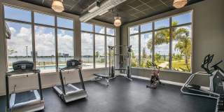 Veridian Shores Gallery 8