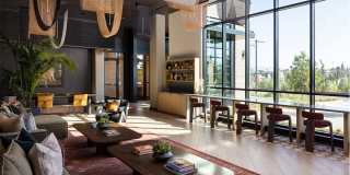 Orlo & Alba Gallery 18