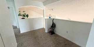 2918 BLOOMING ALAMANDA Loop Gallery 22