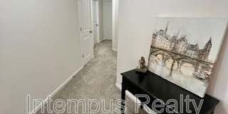 260 Winter Shadow Loop Gallery 42