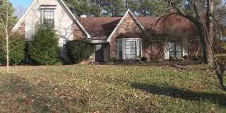 Olive Branch Schools, close to everything! Gallery 1