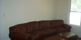 Huge 3 Bedroom, 1 Bathroom Apartment Steps From UF in Fifth Avenue Gallery 21