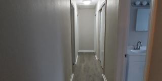 2247 Stella Street Gallery 10