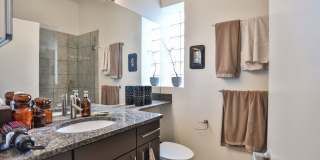 Great 1 Bedroom Apt. Exposed Brick, High Ceilings, All New. Great Location. Gallery 7