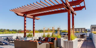 The Matisse Gallery 5