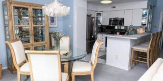 12 Gull Cv Gallery 18